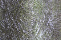 Stowe By Chartley fibreglass roof work